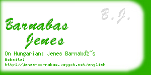 barnabas jenes business card